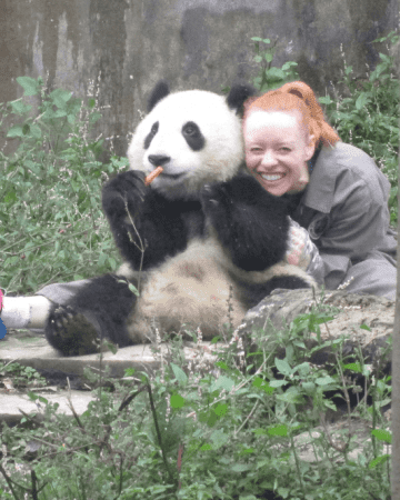 Pandas in China