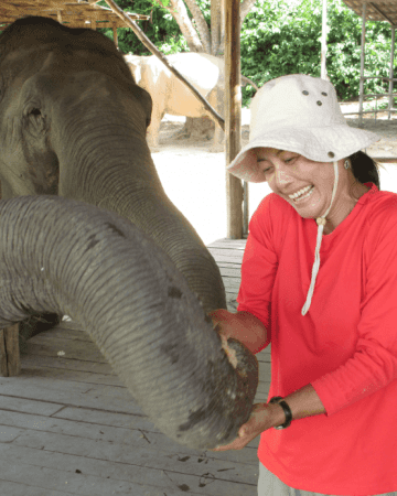 Tigers and Elephants in Thailand